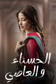 Main Manto Nahi Hoon: Season 1