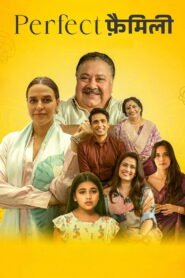 Perfect Family: Season 1