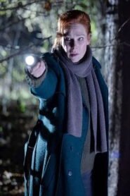 Charlotte Link – Einsame Nacht